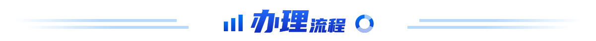 办理流程