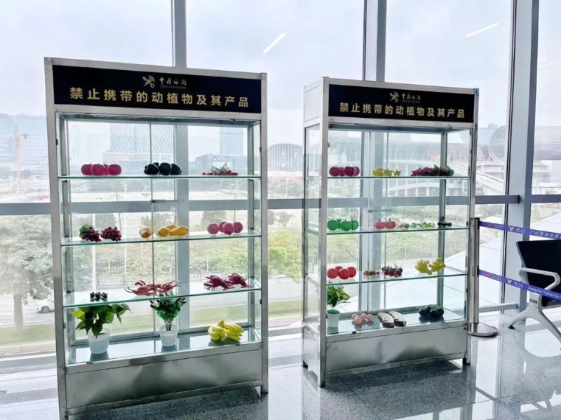 会展海关政务公开专区之实物展示柜及休息区