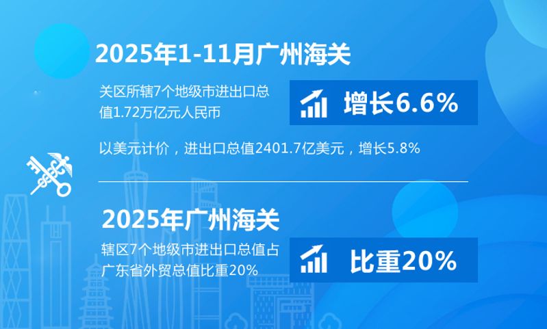 11月图解