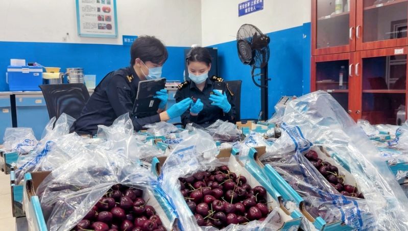 今年前5个月经南沙口岸进口水果超17万吨，同比增5.9%