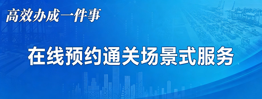在线预约通关场景式服务